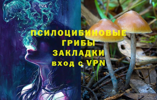 трава Алзамай