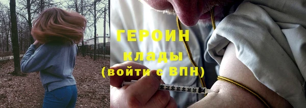 гидра Алексеевка
