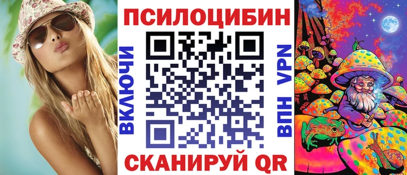 Псилоцибиновые грибы Psilocybe  купить  сайты  Ветлуга 